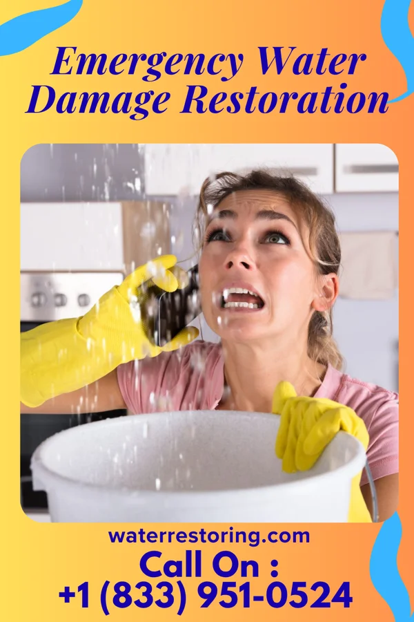 Emergency Water Damage Restoration in Duncan Ranch Colony, MT