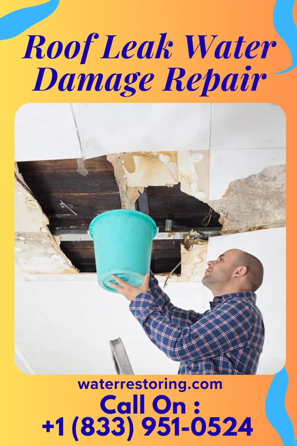 Roof Leak Water Damage Repair in Duncan Ranch Colony, MT